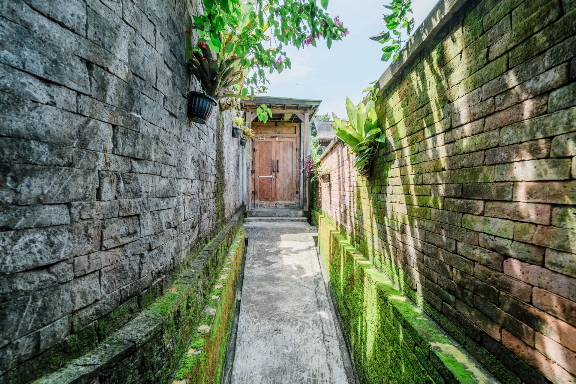 3 Bed, 3 Bath, HouseFor Sale, Ubud