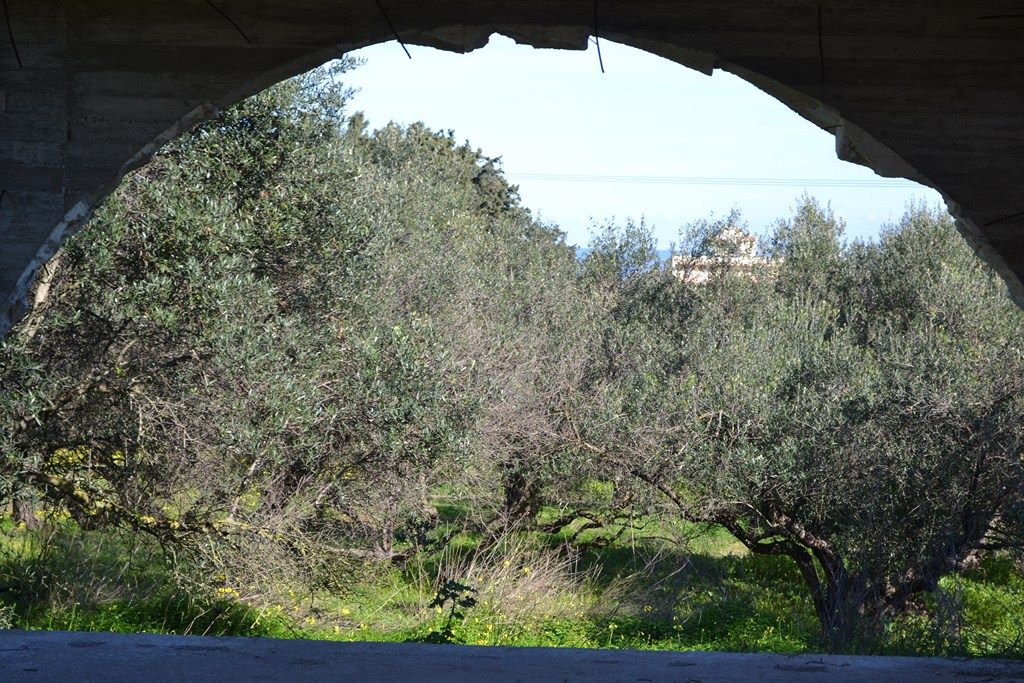 Commercial Property, For Sale