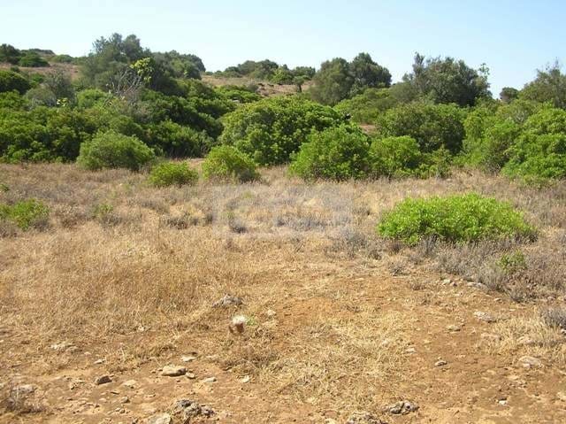 Land, For Sale