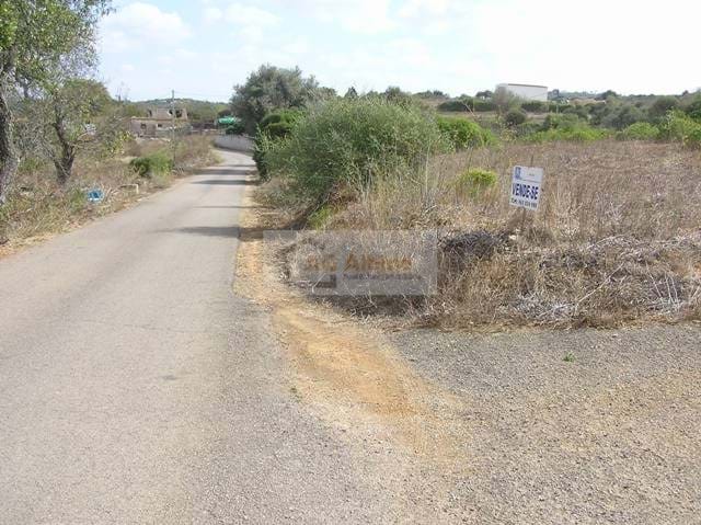 Land, For Sale