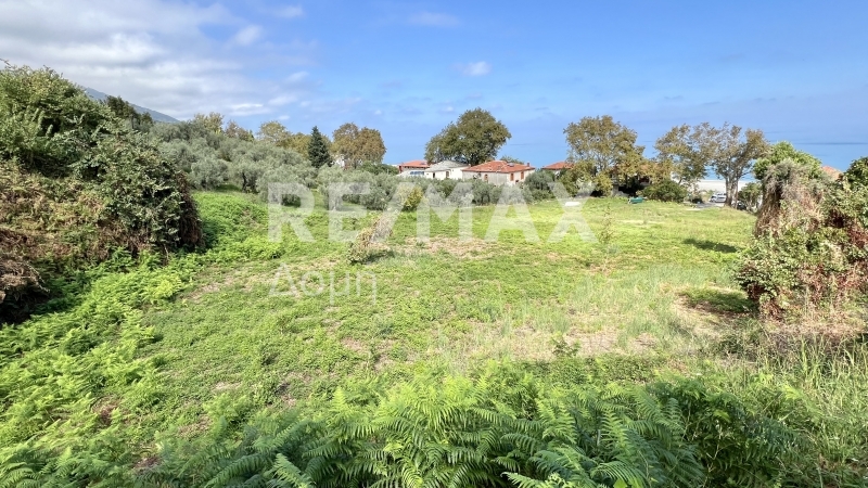 HouseFor Sale, Chorefto, Zagora, Magnesia