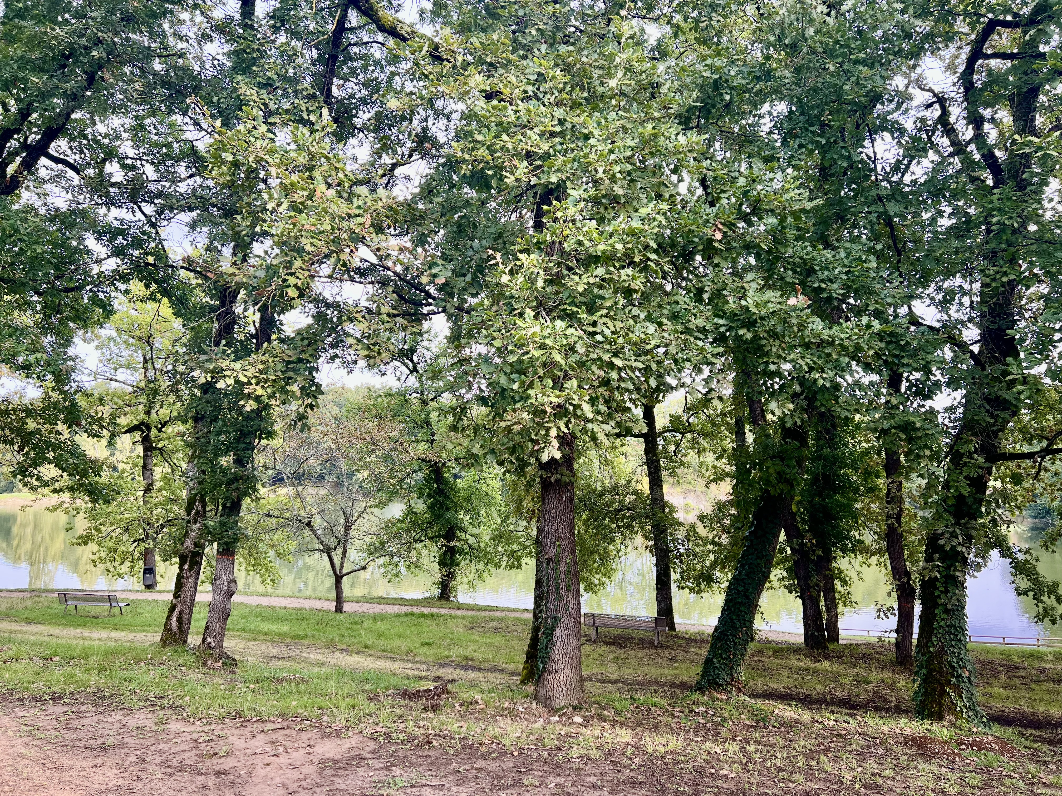 1 Bed, 1 Bath, ApartmentFor Sale, Monflanquin, Lot-et-Garonne, Aquitaine, 47150