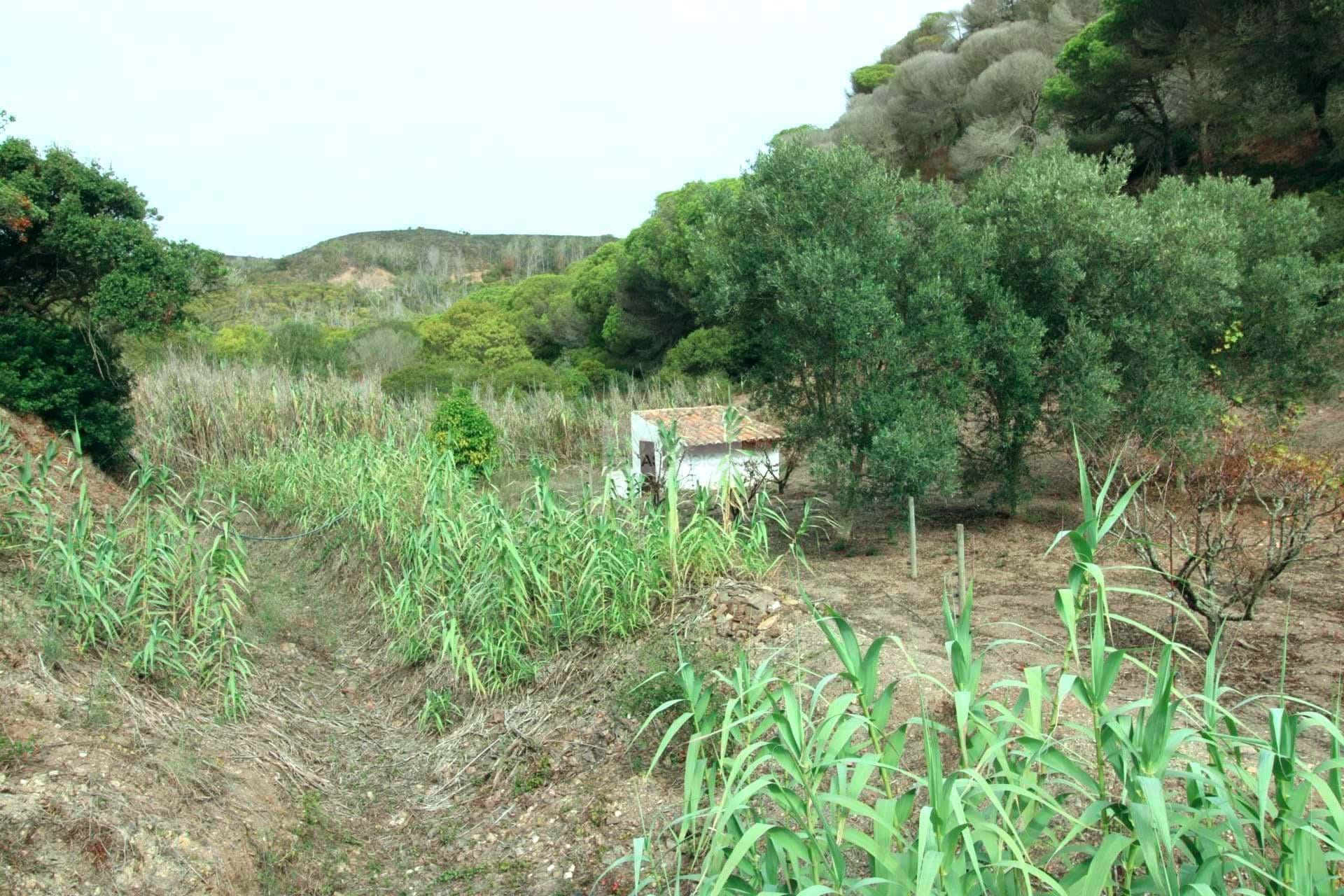 1 Bed, 1 Bath, HouseFor Sale, Vila do Bispo, Faro, 8650-400