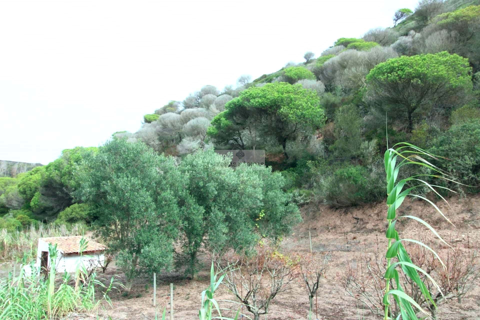 1 Bed, 1 Bath, HouseFor Sale, Vila do Bispo, Faro, 8650-400