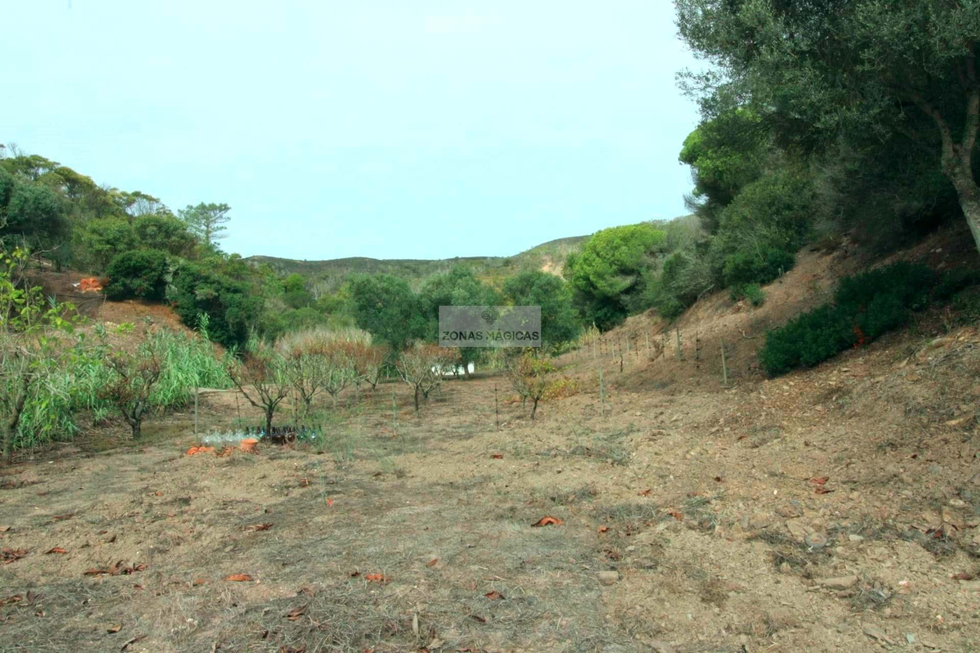 1 Bed, 1 Bath, HouseFor Sale, Vila do Bispo, Faro, 8650-400