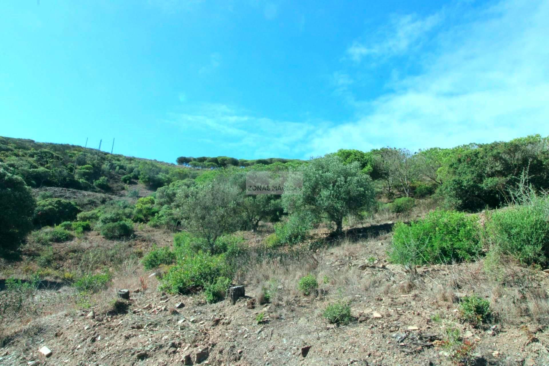 1 Bed, 1 Bath, HouseFor Sale, Vila do Bispo, Faro, 8650-400