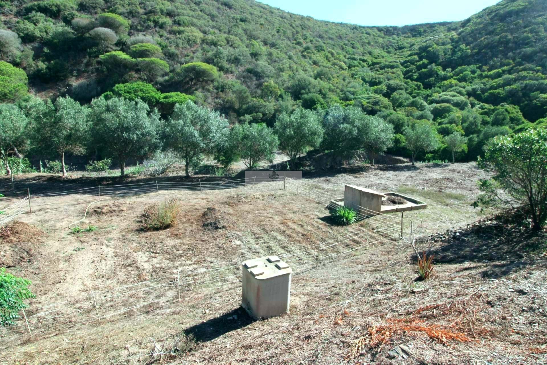 1 Bed, 1 Bath, HouseFor Sale, Vila do Bispo, Faro, 8650-400