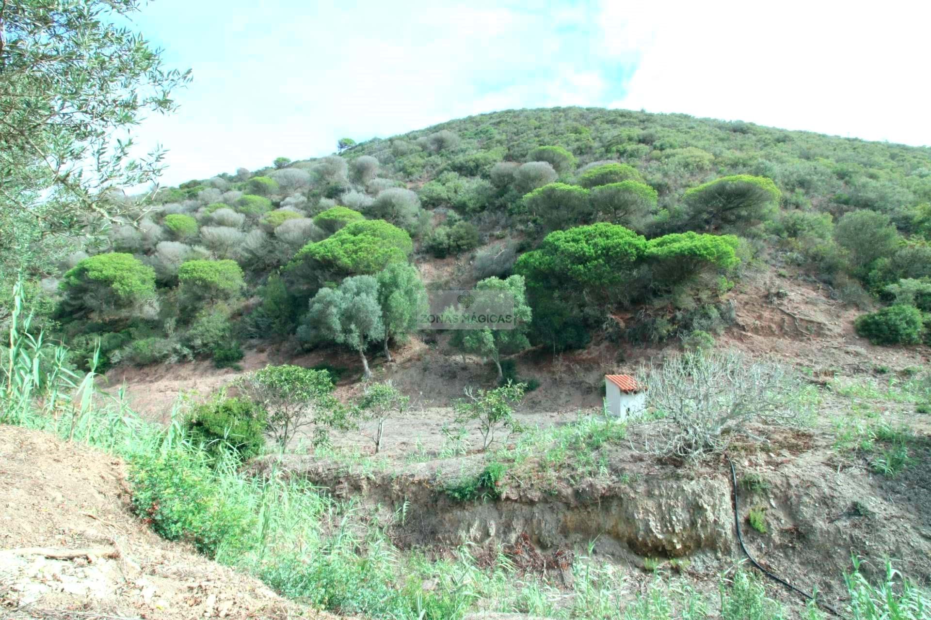 1 Bed, 1 Bath, HouseFor Sale, Vila do Bispo, Faro, 8650-400