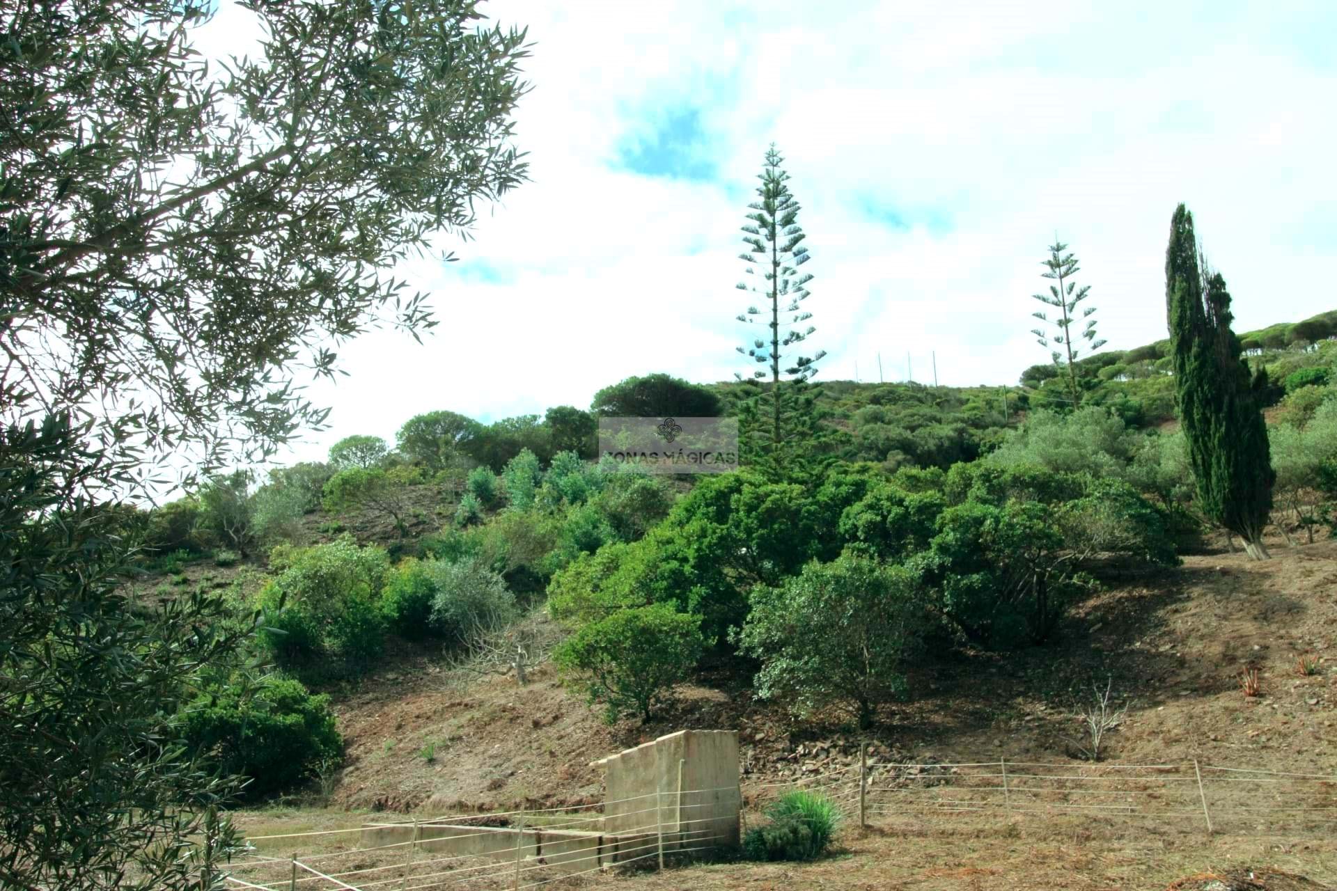 1 Bed, 1 Bath, HouseFor Sale, Vila do Bispo, Faro, 8650-400