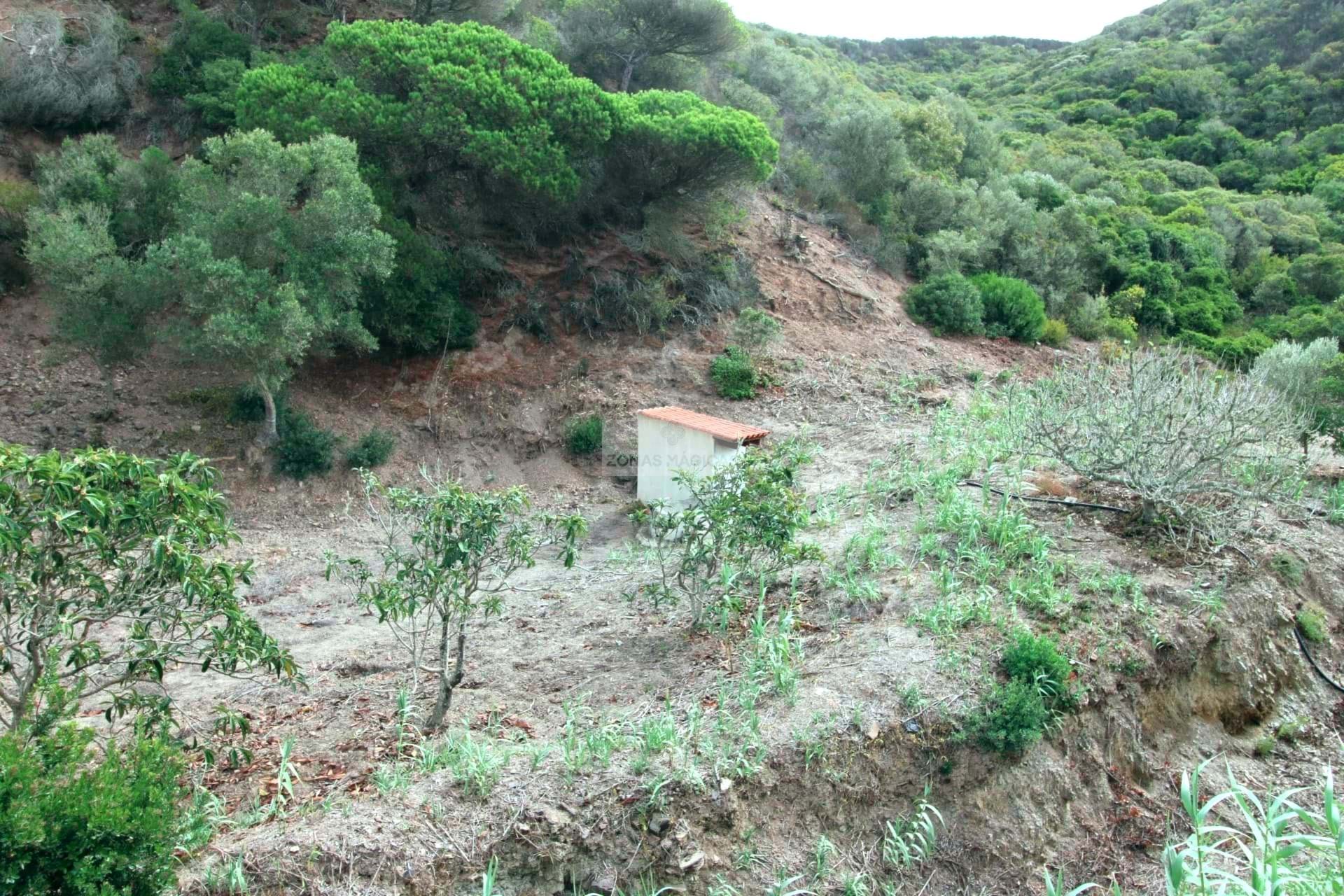 1 Bed, 1 Bath, HouseFor Sale, Vila do Bispo, Faro, 8650-400