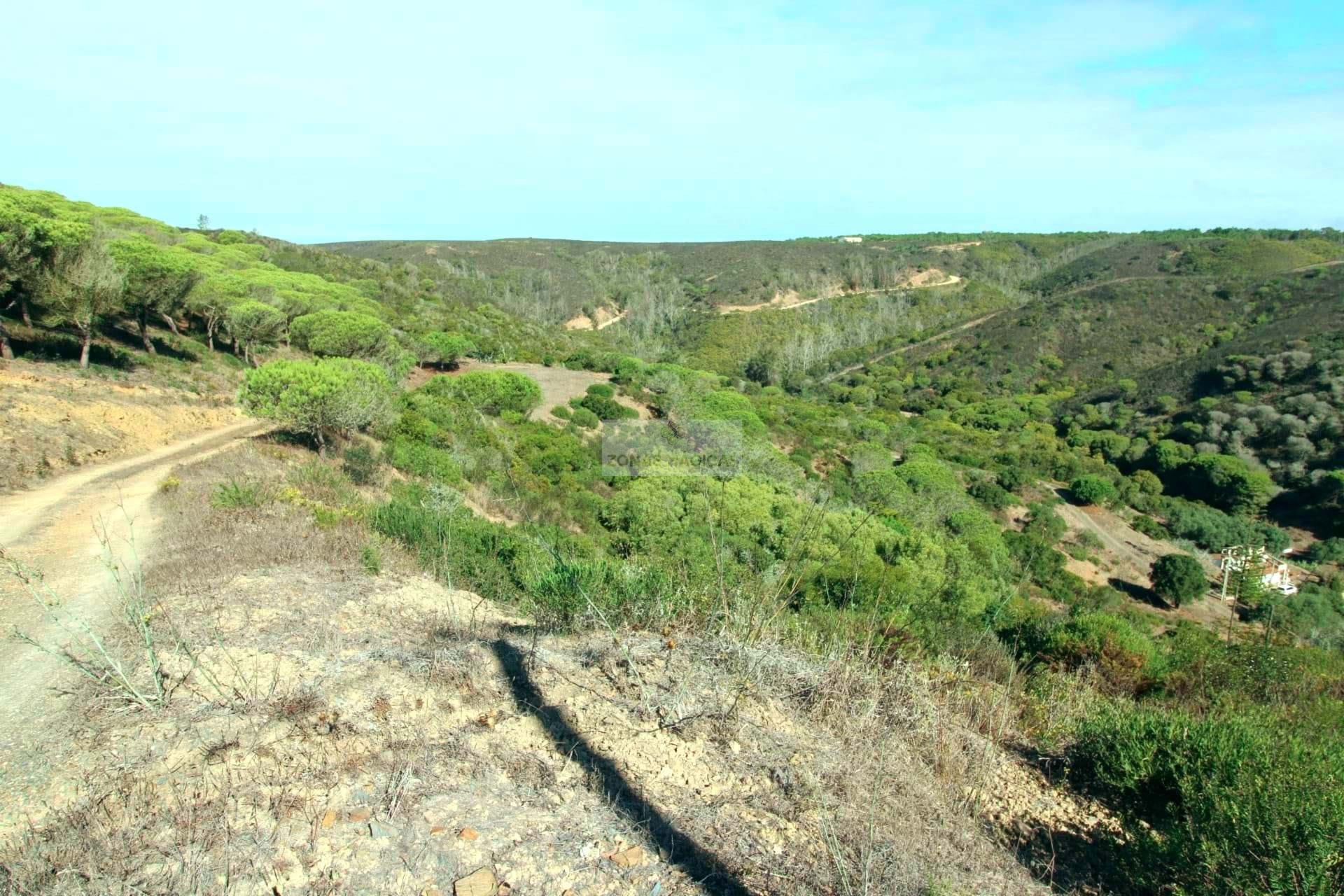 1 Bed, 1 Bath, HouseFor Sale, Vila do Bispo, Faro, 8650-400