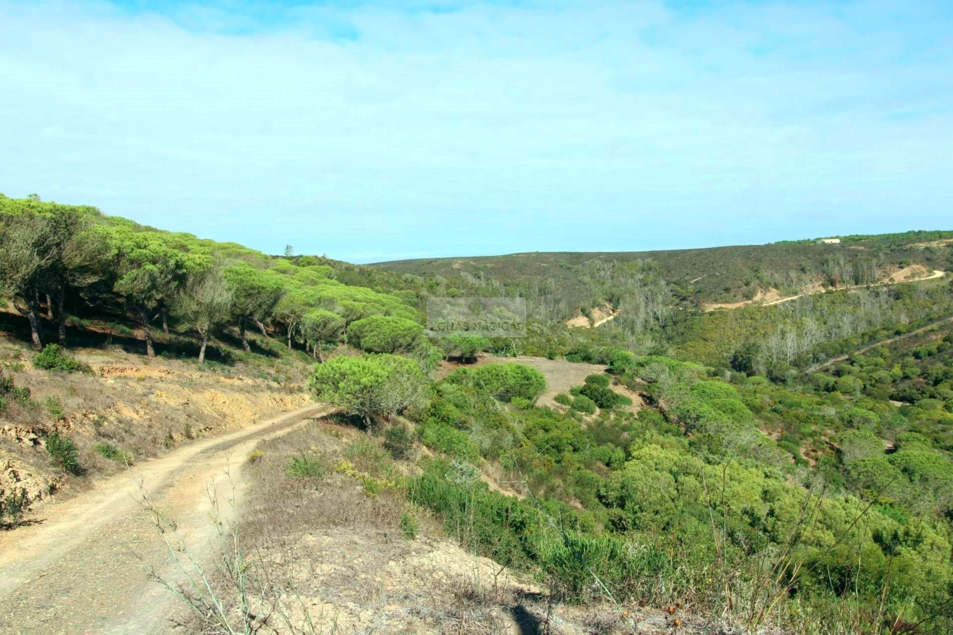 1 Bed, 1 Bath, HouseFor Sale, Vila do Bispo, Faro, 8650-400