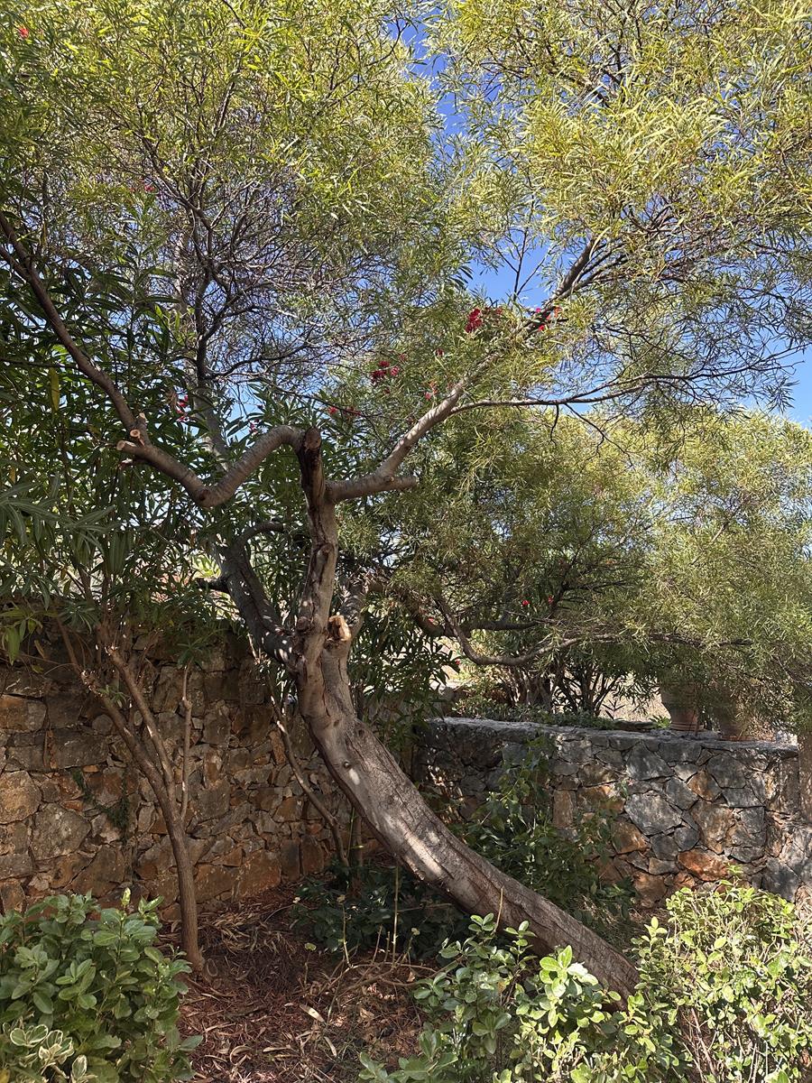 2 Bed, 2 Bath, HouseFor Sale, Chania, Crete