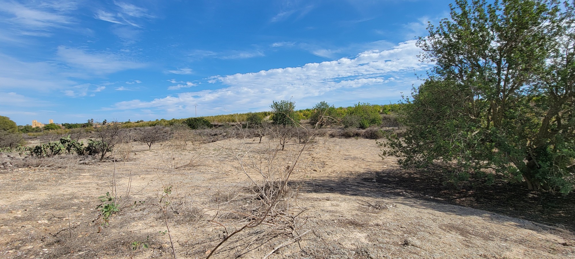 1 Bed, 1 Bath, HouseFor Sale, San Miguel de Salinas, Alicante