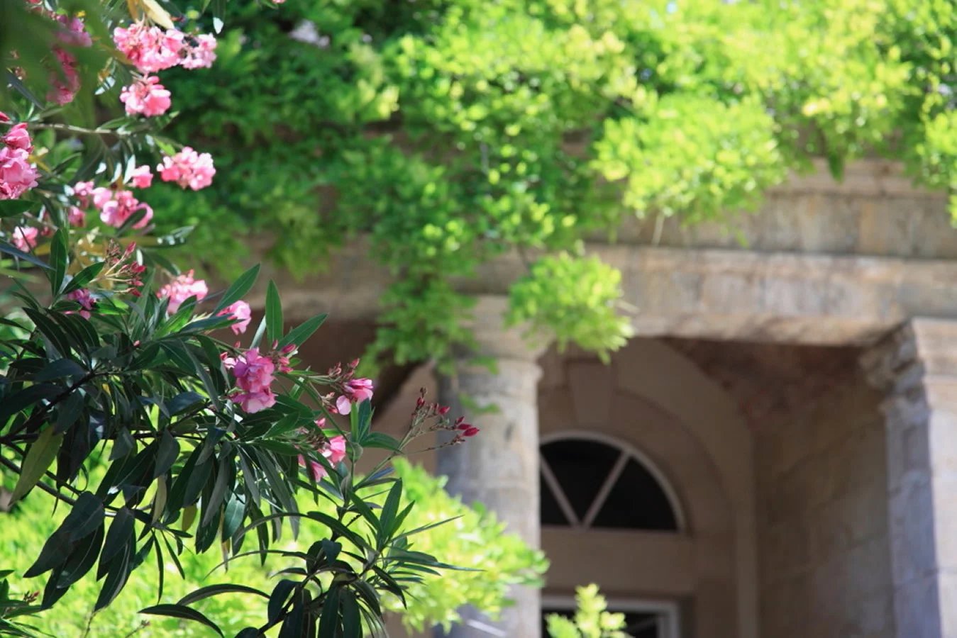 10 Bed, 10 Bath, HouseFor Sale, Roujan, Hérault