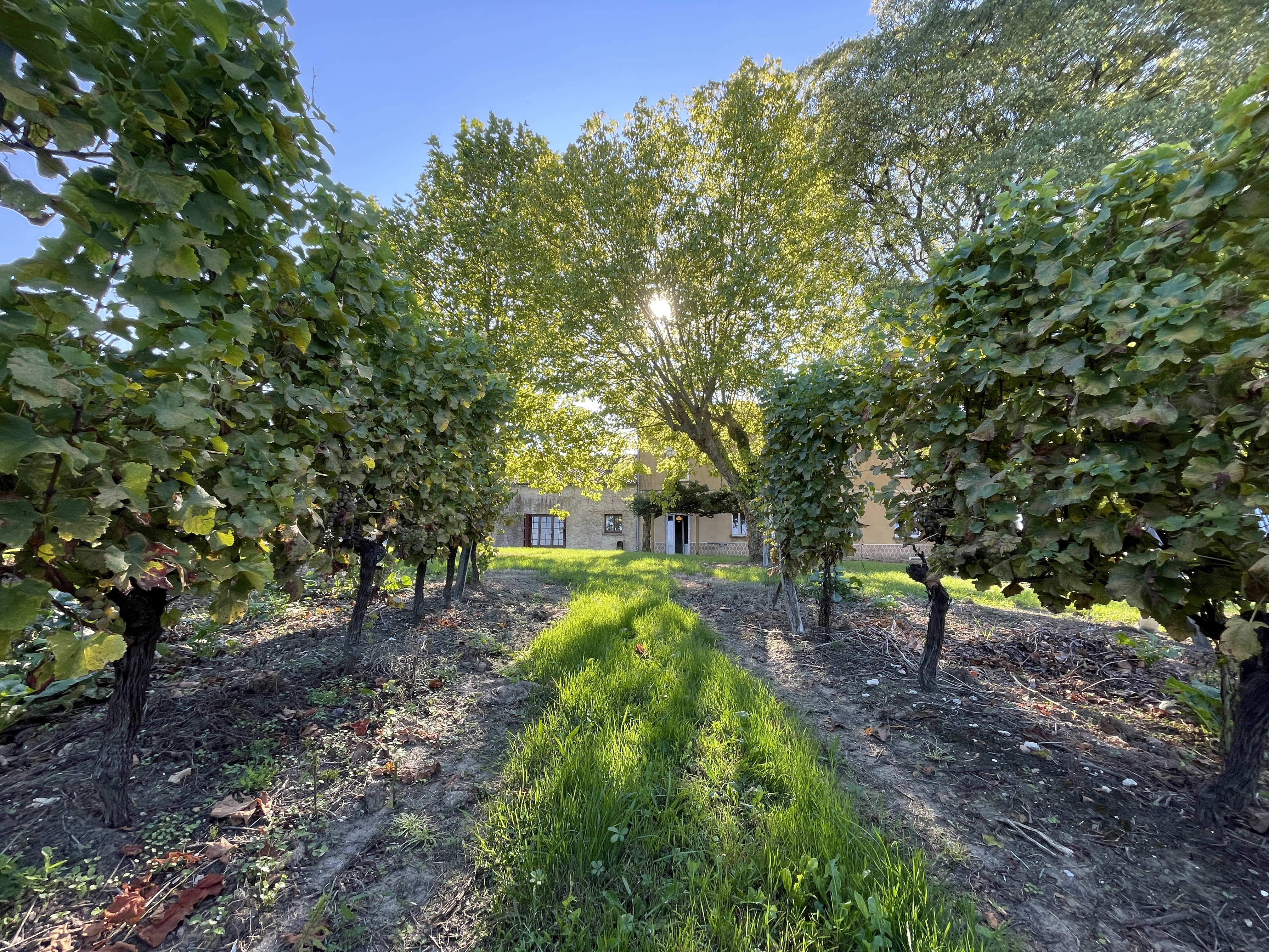 6 Bed, 2 Bath, HouseFor Sale, Monbazillac, Dordogne, Aquitaine, 24240