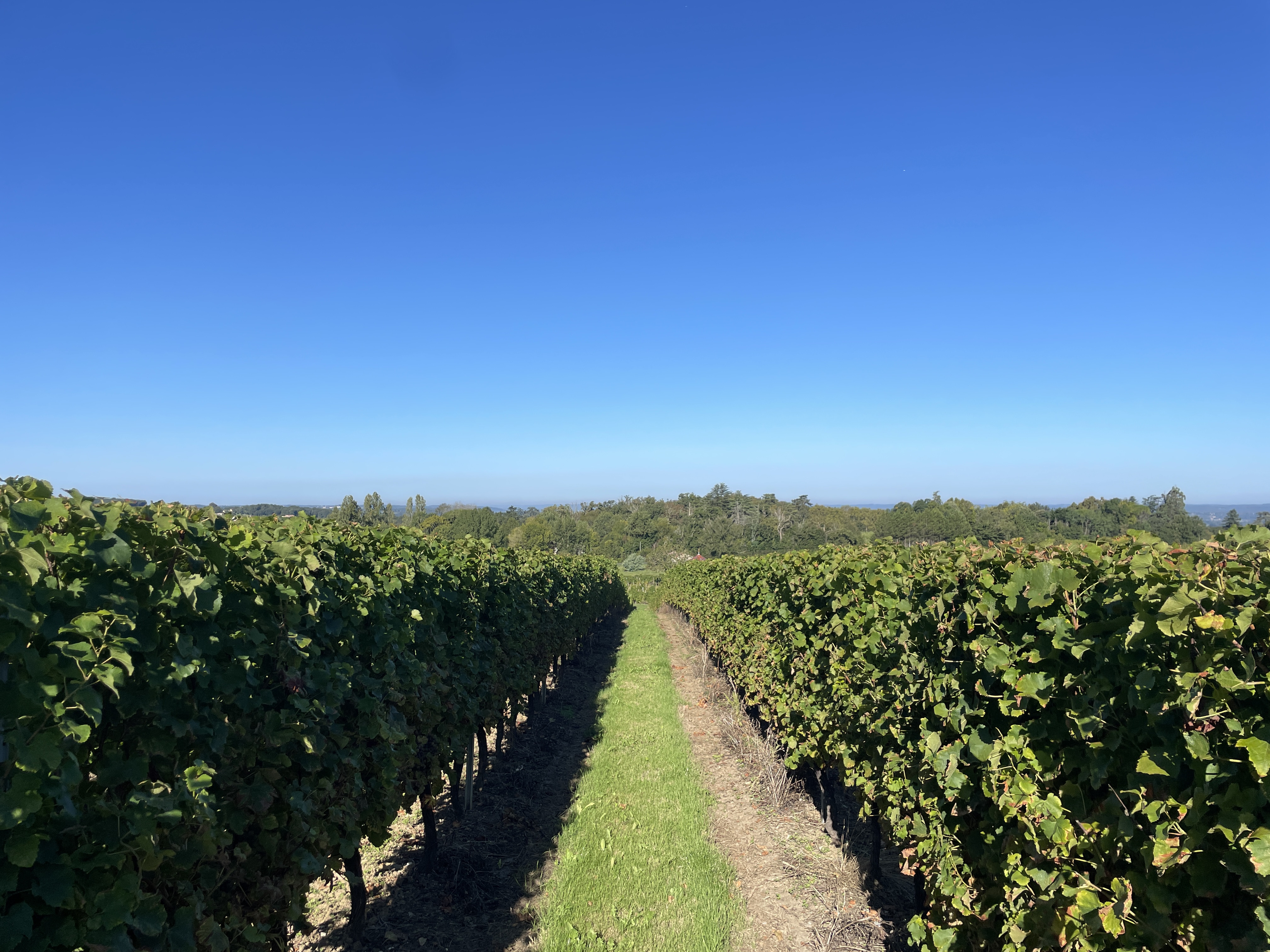 6 Bed, 2 Bath, HouseFor Sale, Monbazillac, Dordogne, Aquitaine, 24240