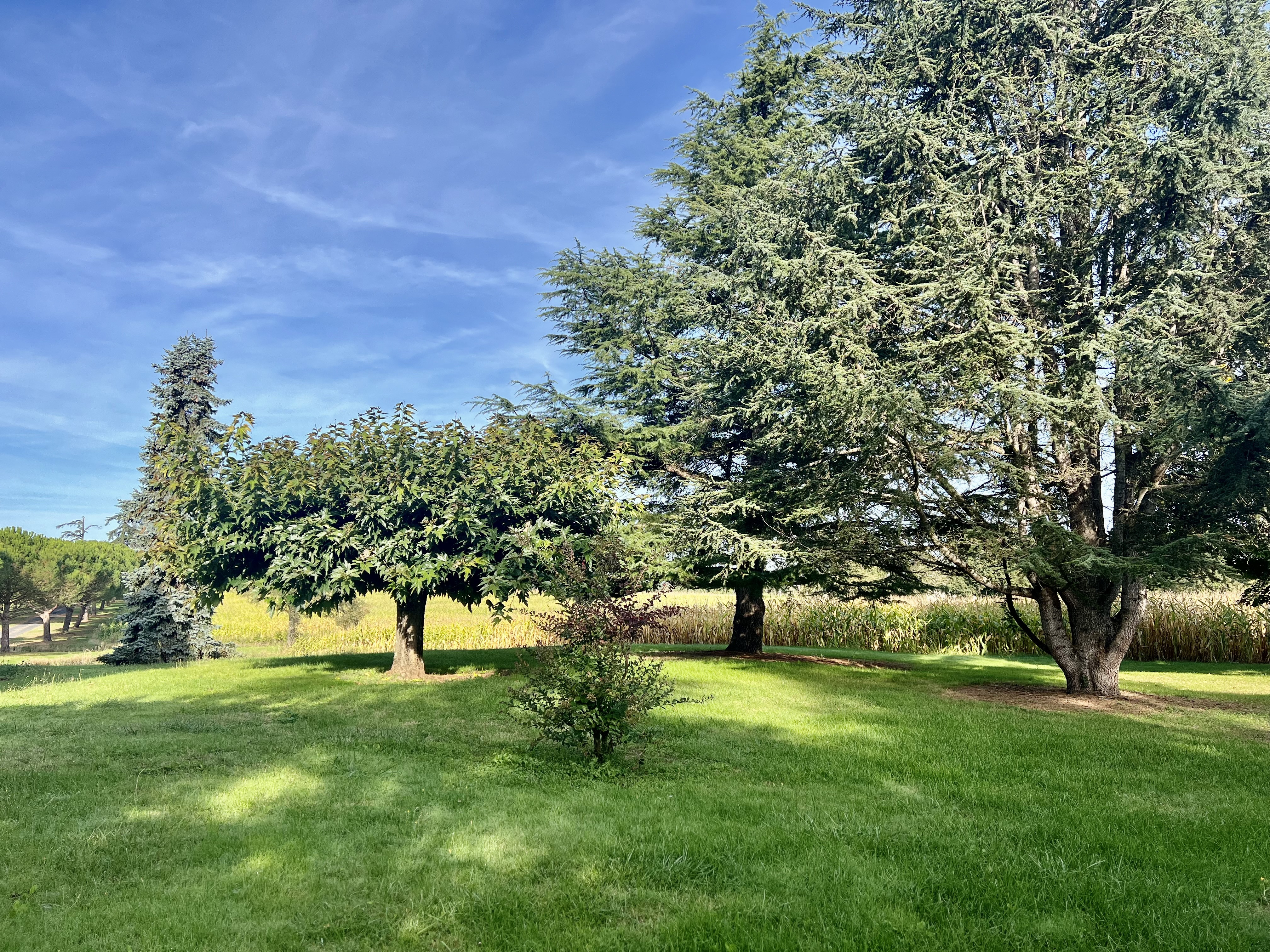 4 Bed, 1 Bath, HouseFor Sale, Villereal, Lot-et-Garonne, Aquitaine, 47210