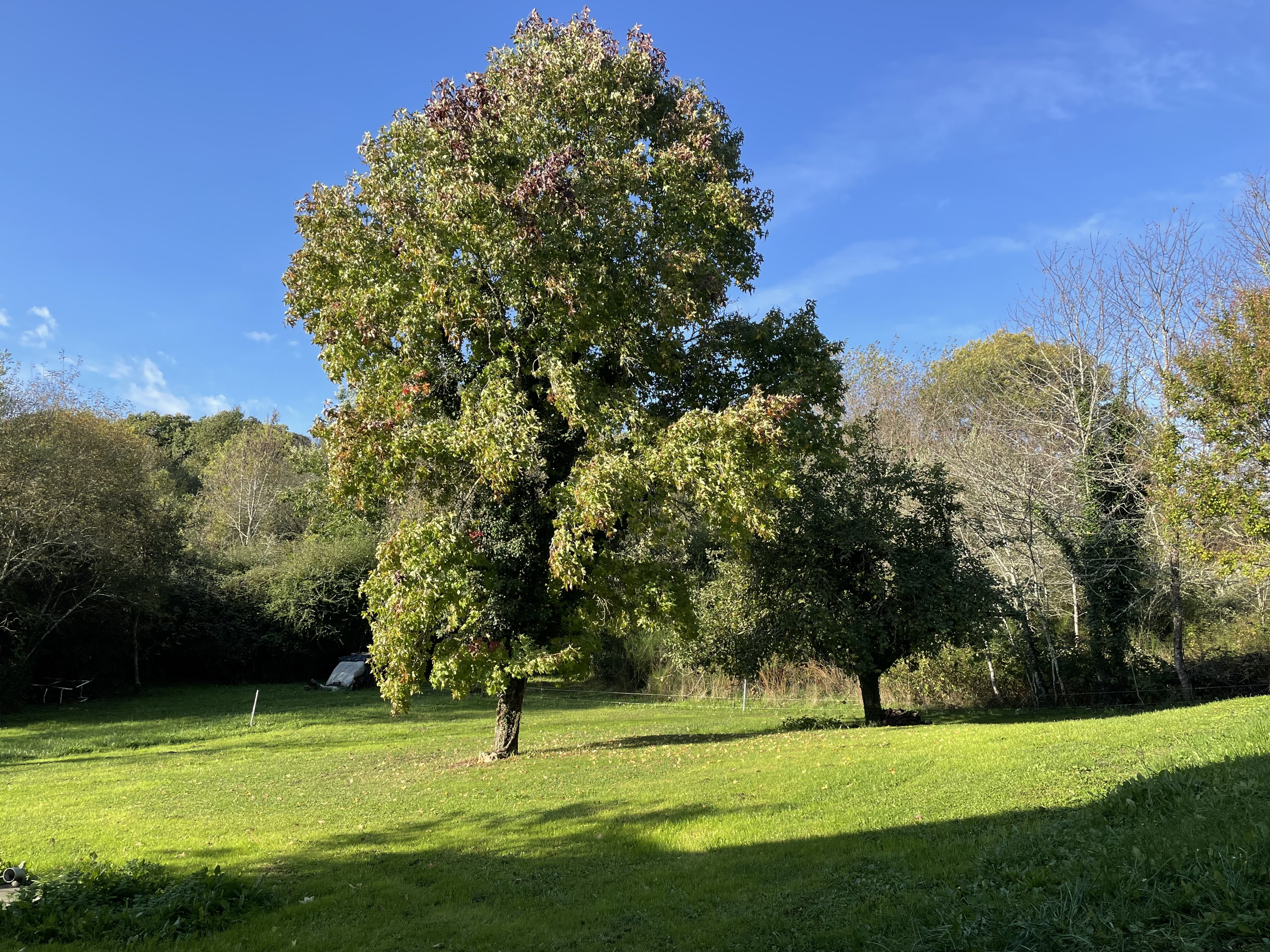 5 Bed, 3 Bath, HouseFor Sale, Bergerac, Dordogne, Aquitaine, 24100