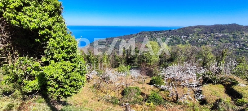 HouseFor Sale, Makrirrachi, Zagora, Magnesia