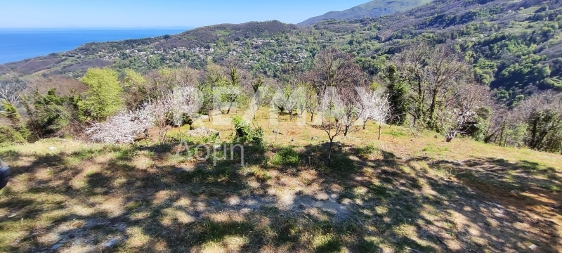 HouseFor Sale, Makrirrachi, Zagora, Magnesia