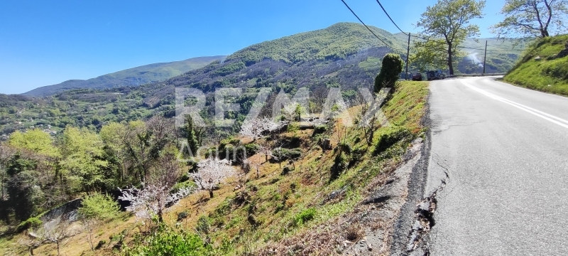 HouseFor Sale, Makrirrachi, Zagora, Magnesia