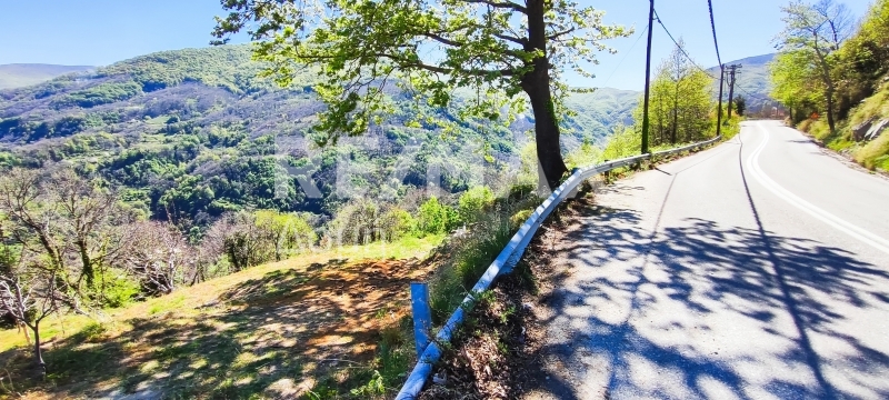 HouseFor Sale, Makrirrachi, Zagora, Magnesia