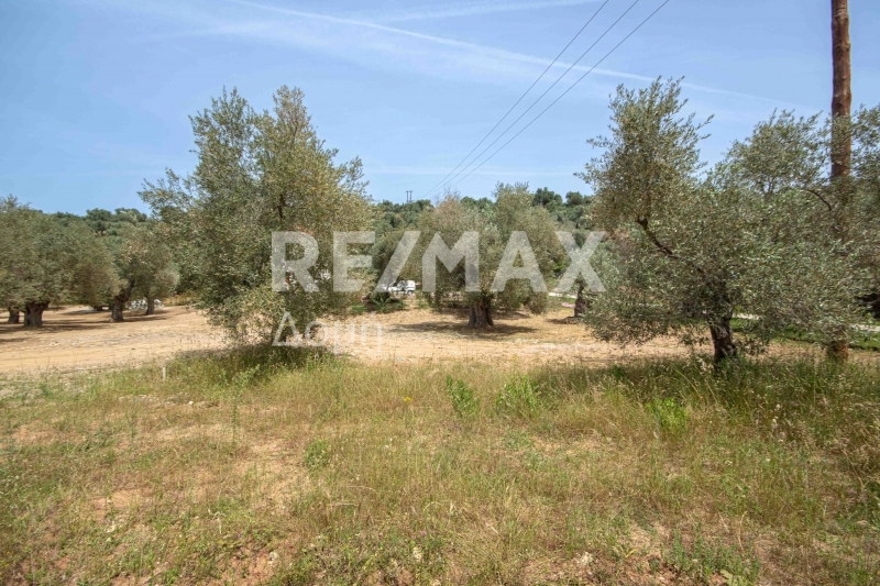 Land, For Sale
