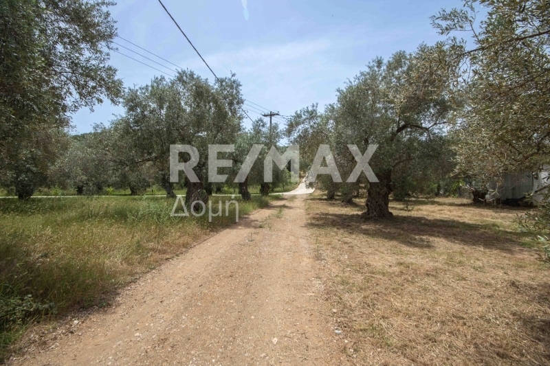 Land, For Sale