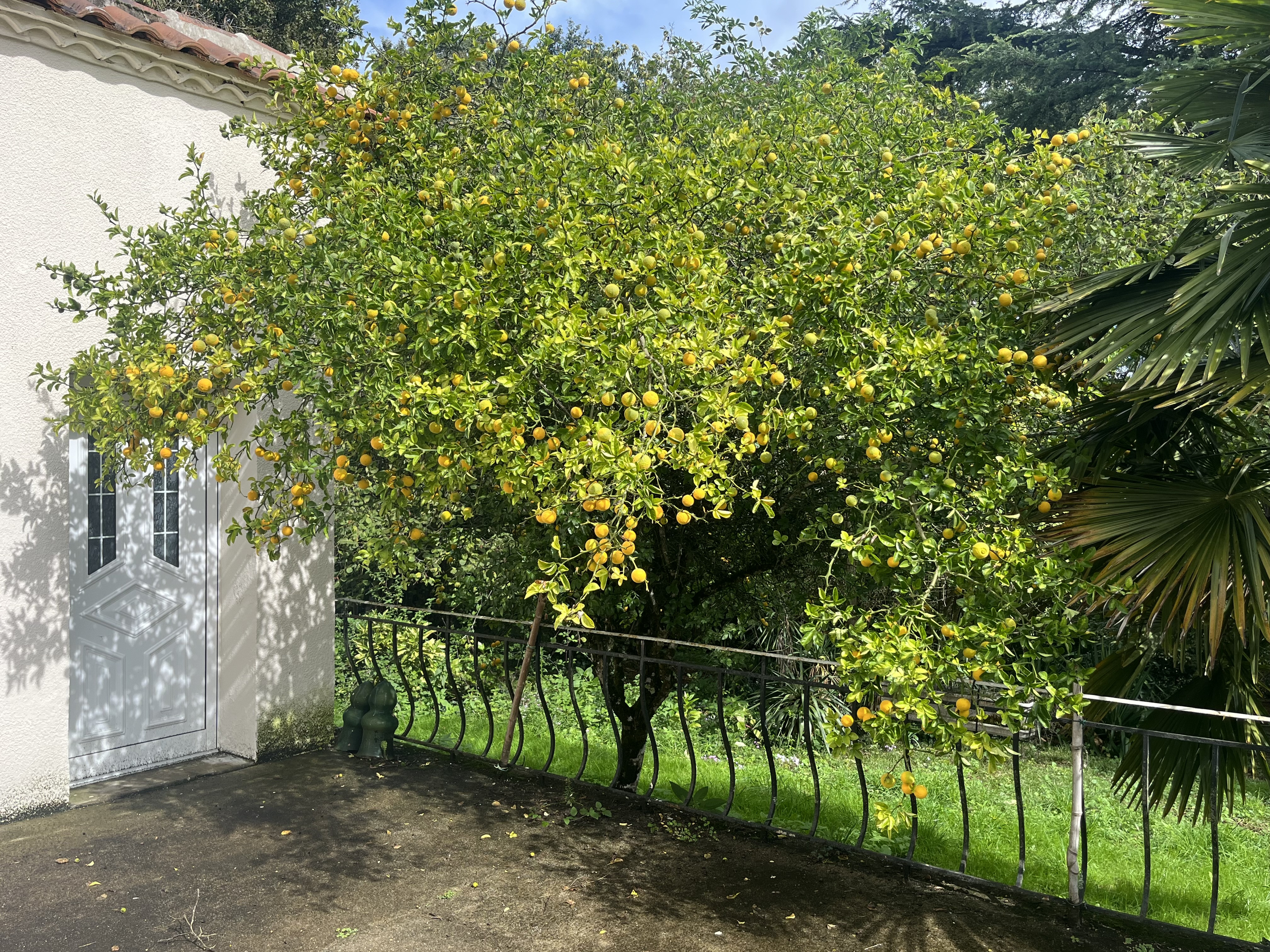 3 Bed, 1 Bath, HouseFor Sale, Lembras, Dordogne, Aquitaine, 24100