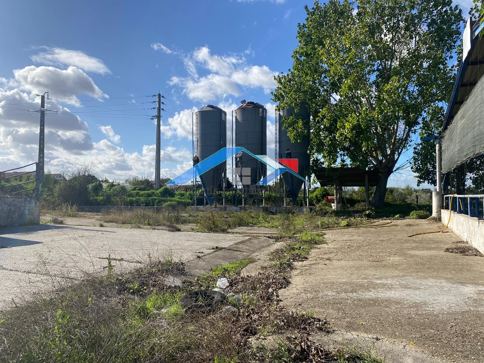 5 Bath, HouseFor Sale, Almeirim, Santarém, 2080-070 5 Bath, HouseFor Sale, Almeirim, Santarém, 2080-070