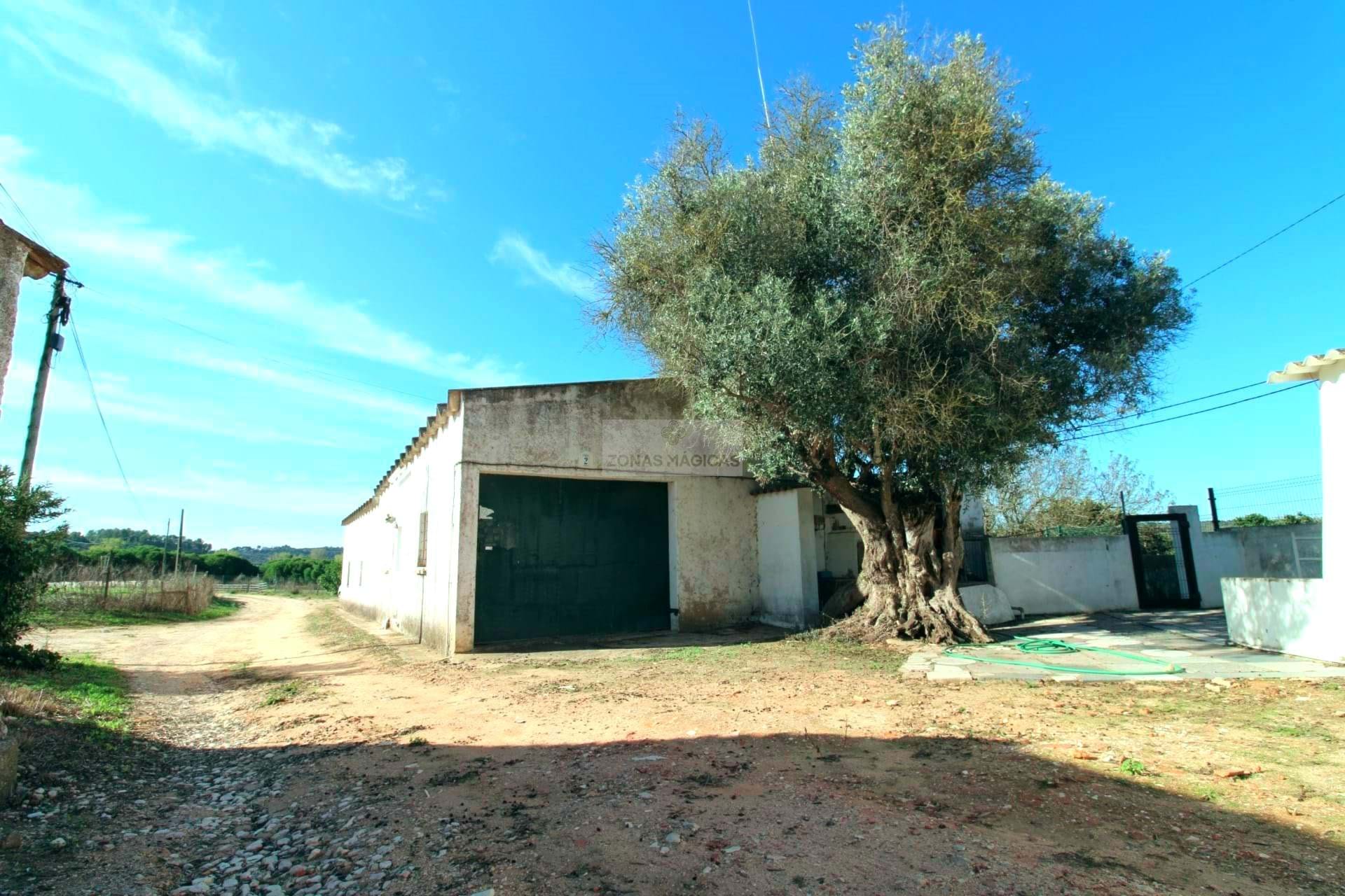 14 Bed, 9 Bath, HouseFor Sale, Lagos, Faro, 8600-282