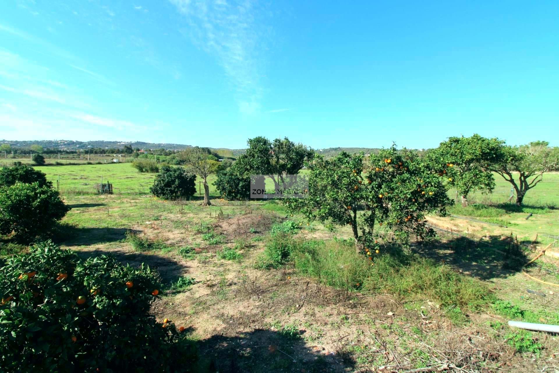 14 Bed, 9 Bath, HouseFor Sale, Lagos, Faro, 8600-282