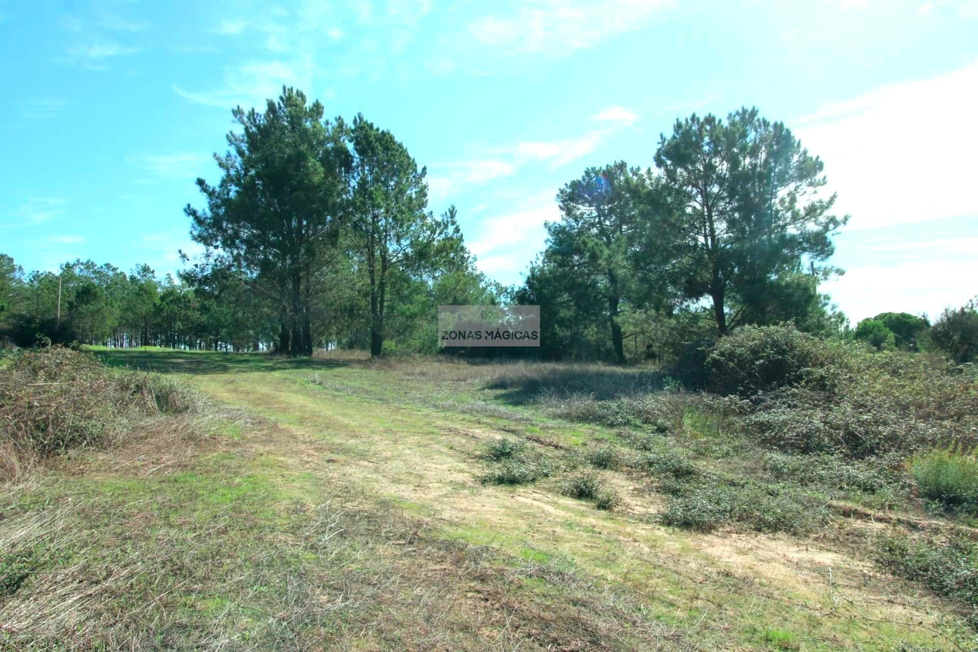 14 Bed, 9 Bath, HouseFor Sale, Lagos, Faro, 8600-282