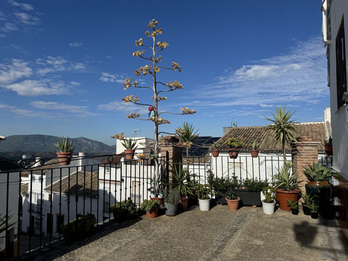 3 Bed, 2 Bath, HouseFor Sale, Olvera, Andalucia 3 Bed, 2 Bath, HouseFor Sale, Olvera, Andalucia