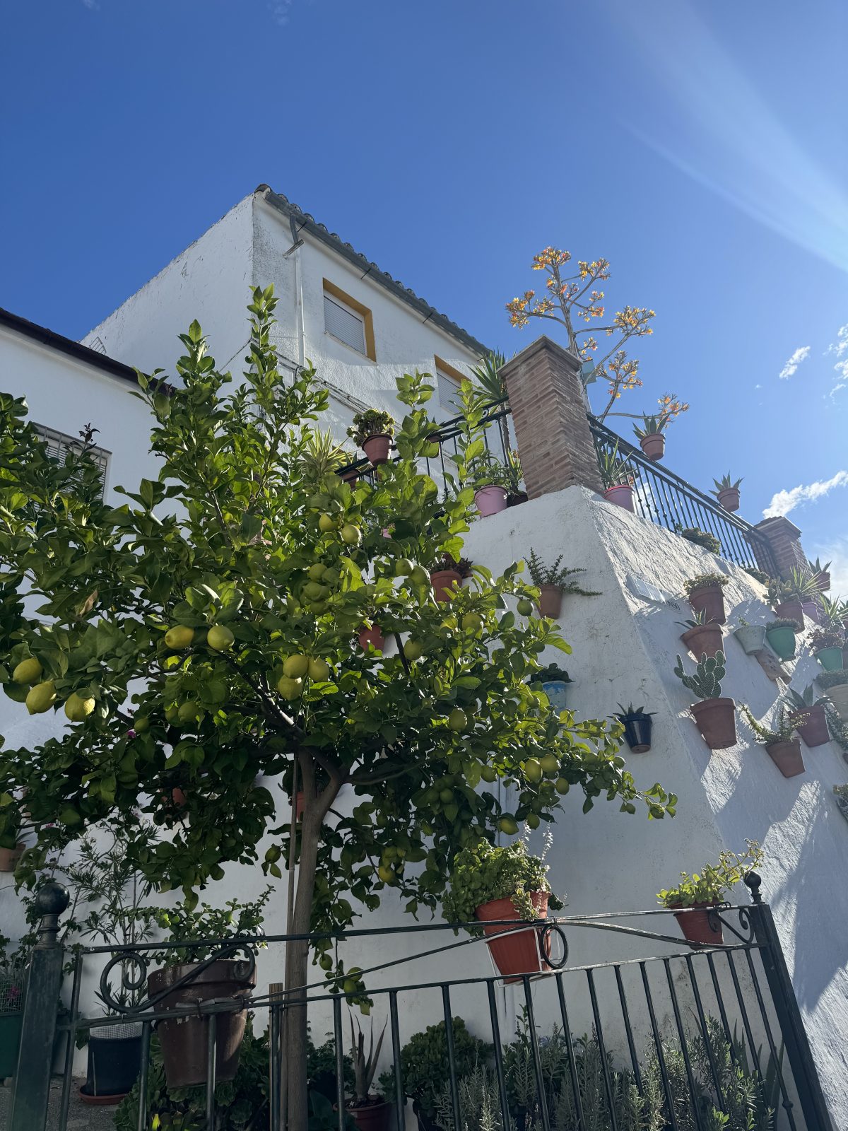 3 Bed, 2 Bath, HouseFor Sale, Olvera, Andalucia 3 Bed, 2 Bath, HouseFor Sale, Olvera, Andalucia