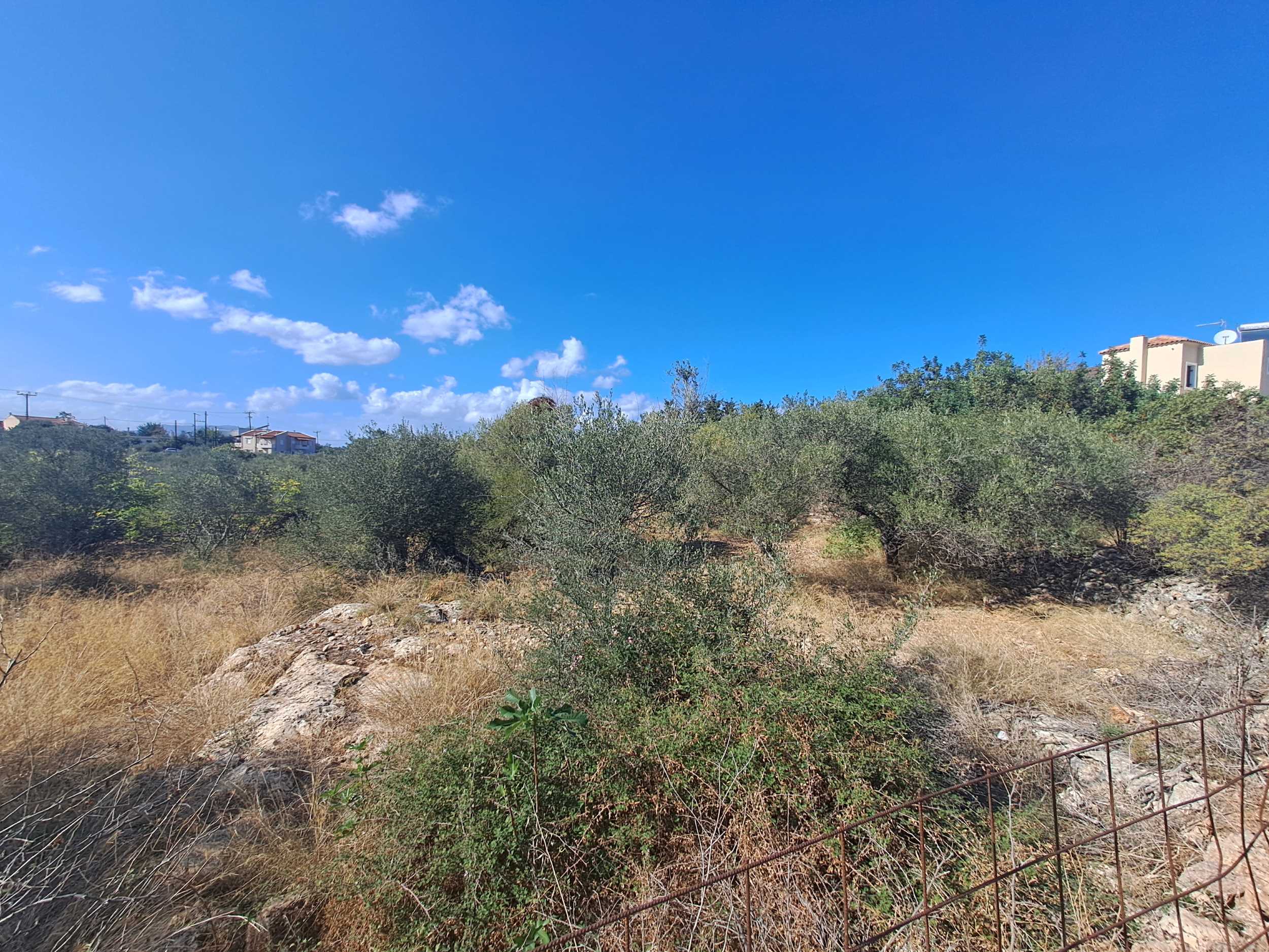 Land, For Sale