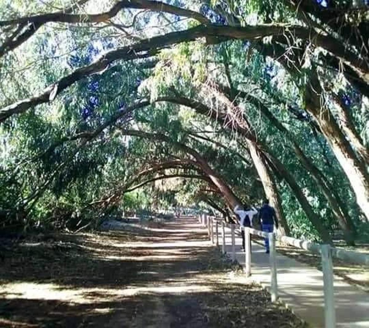 3 Bed, 2 Bath, HouseFor Sale, Torrevieja, Costa Blanca