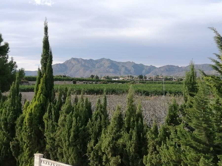 3 Bed, 3 Bath, HouseFor Sale, Crevillente, Alicante