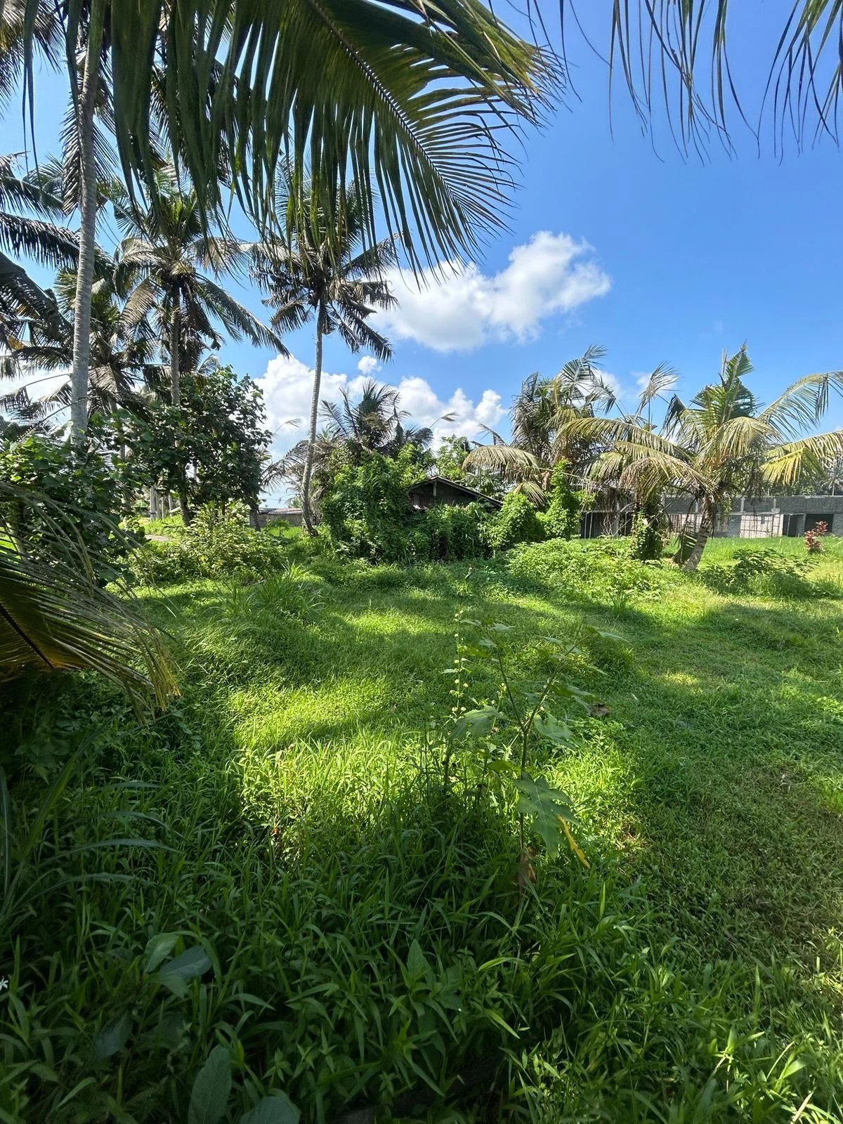 Land, For Sale Land, For Sale