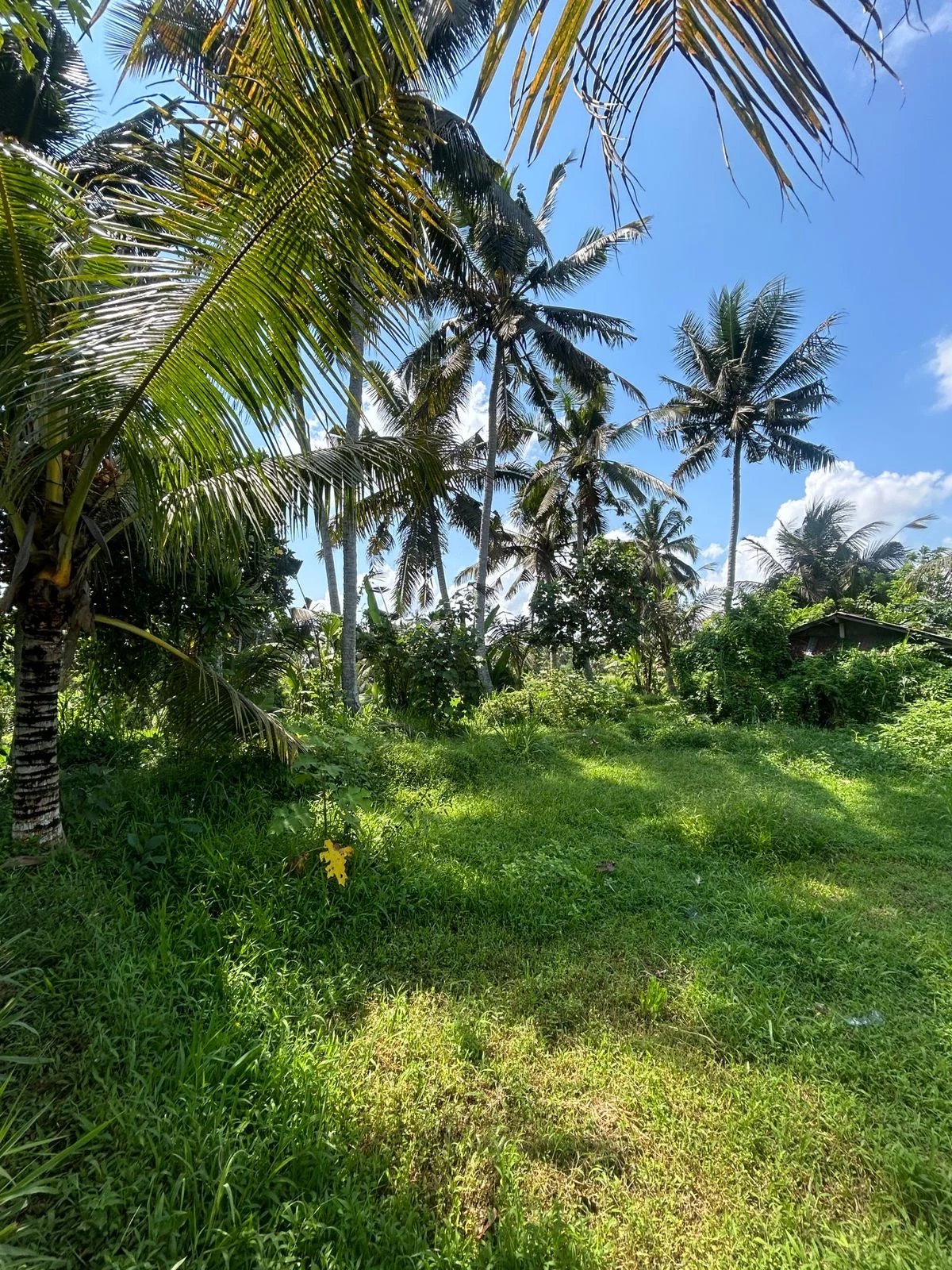 Land, For Sale Land, For Sale