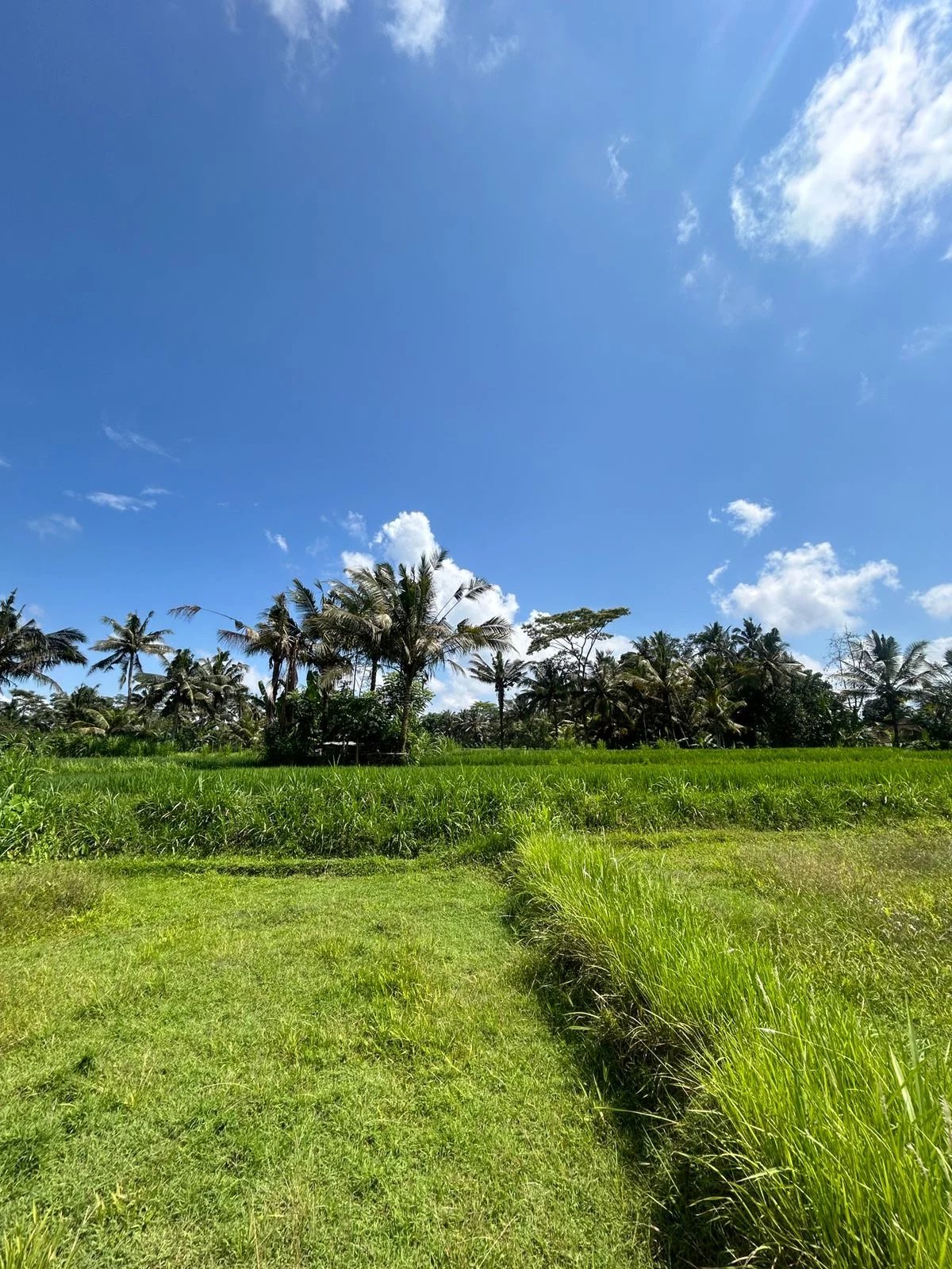 Land, For Sale Land, For Sale