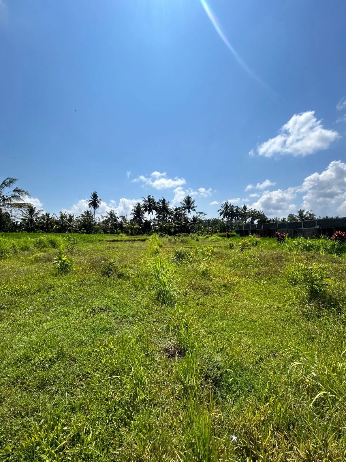 Land, For Sale Land, For Sale