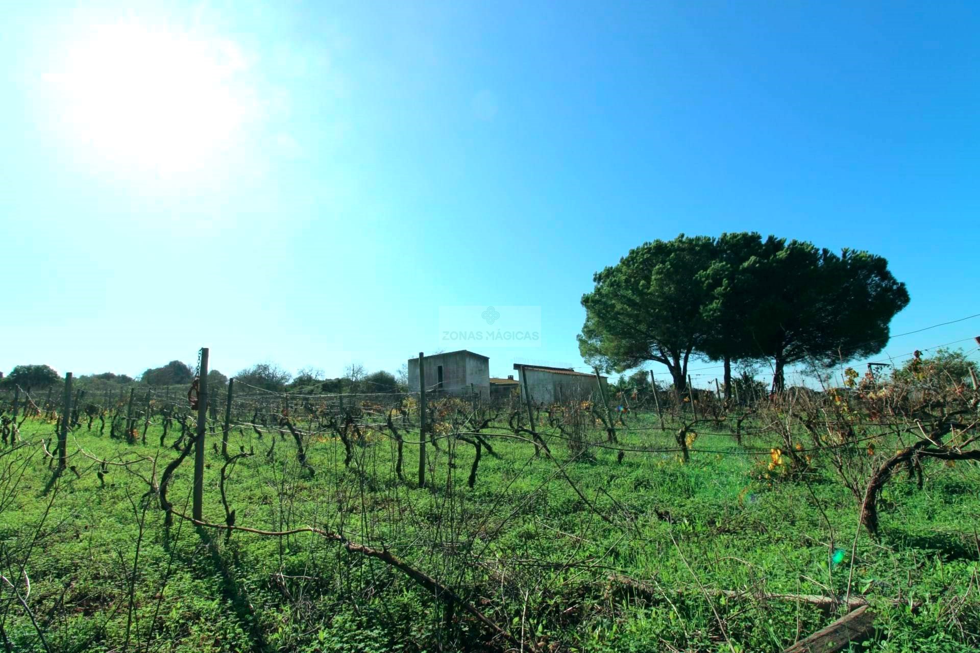 2 Bed, 1 Bath, HouseFor Sale, Praia da Luz, Lagos, Faro, 8600-903