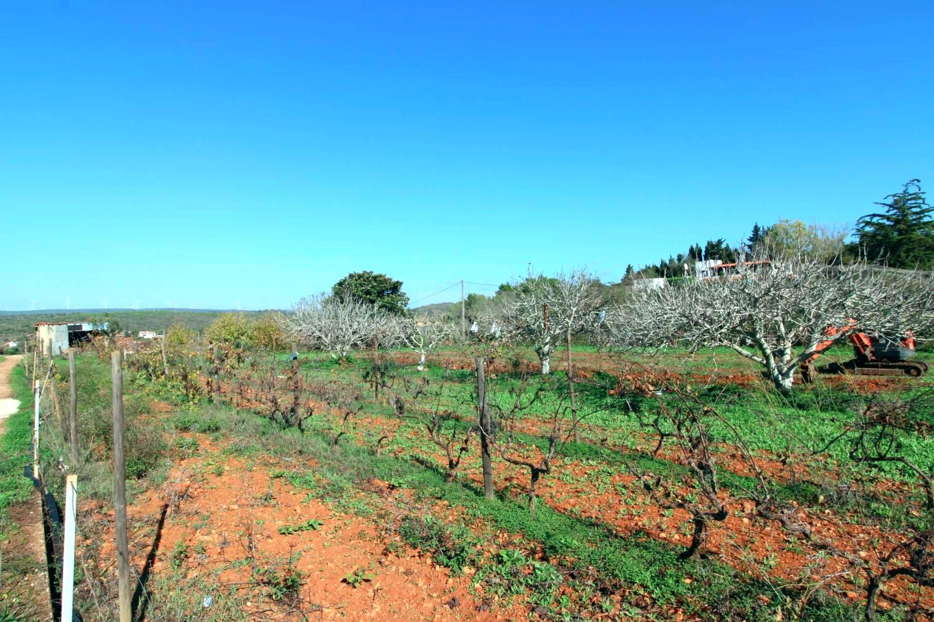 2 Bed, 1 Bath, HouseFor Sale, Praia da Luz, Lagos, Faro, 8600-903