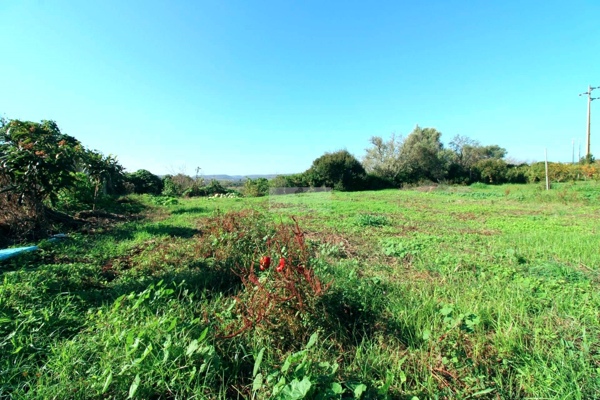 2 Bed, 1 Bath, HouseFor Sale, Praia da Luz, Lagos, Faro, 8600-903