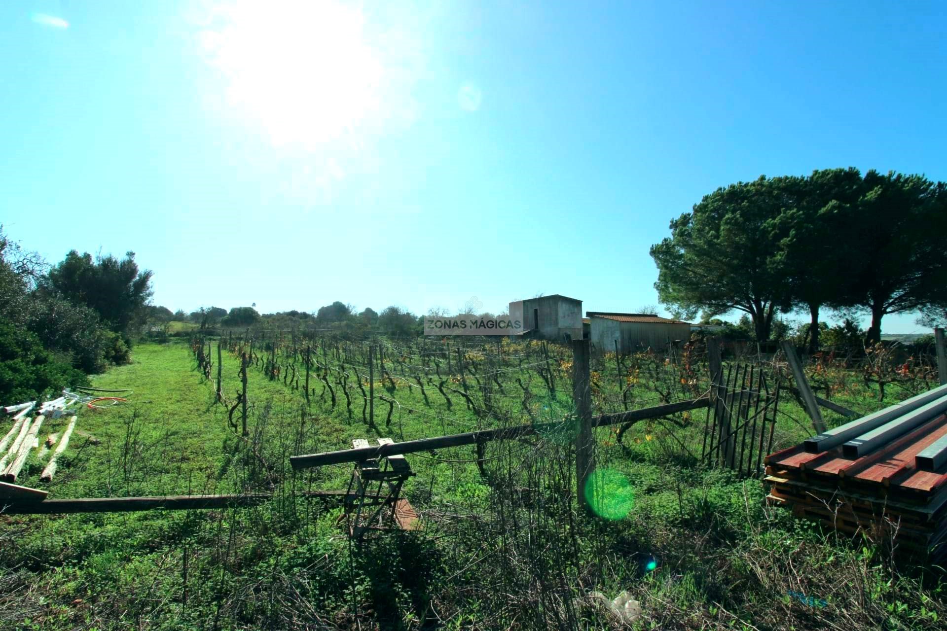 2 Bed, 1 Bath, HouseFor Sale, Praia da Luz, Lagos, Faro, 8600-903