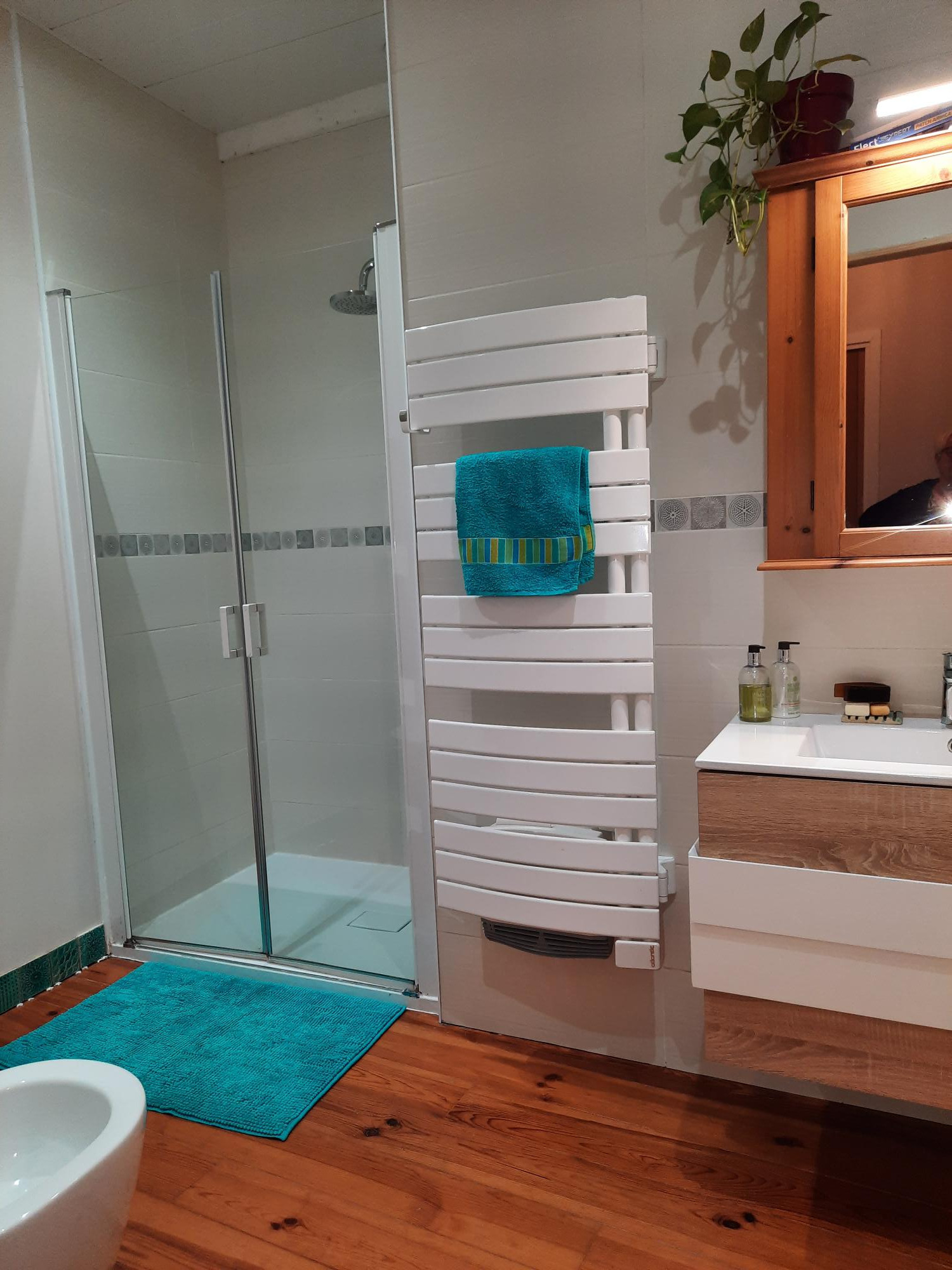 2 Bed, 1 Bath, HouseFor Sale, Lauzun, Lot-et-Garonne, Aquitaine, 47410