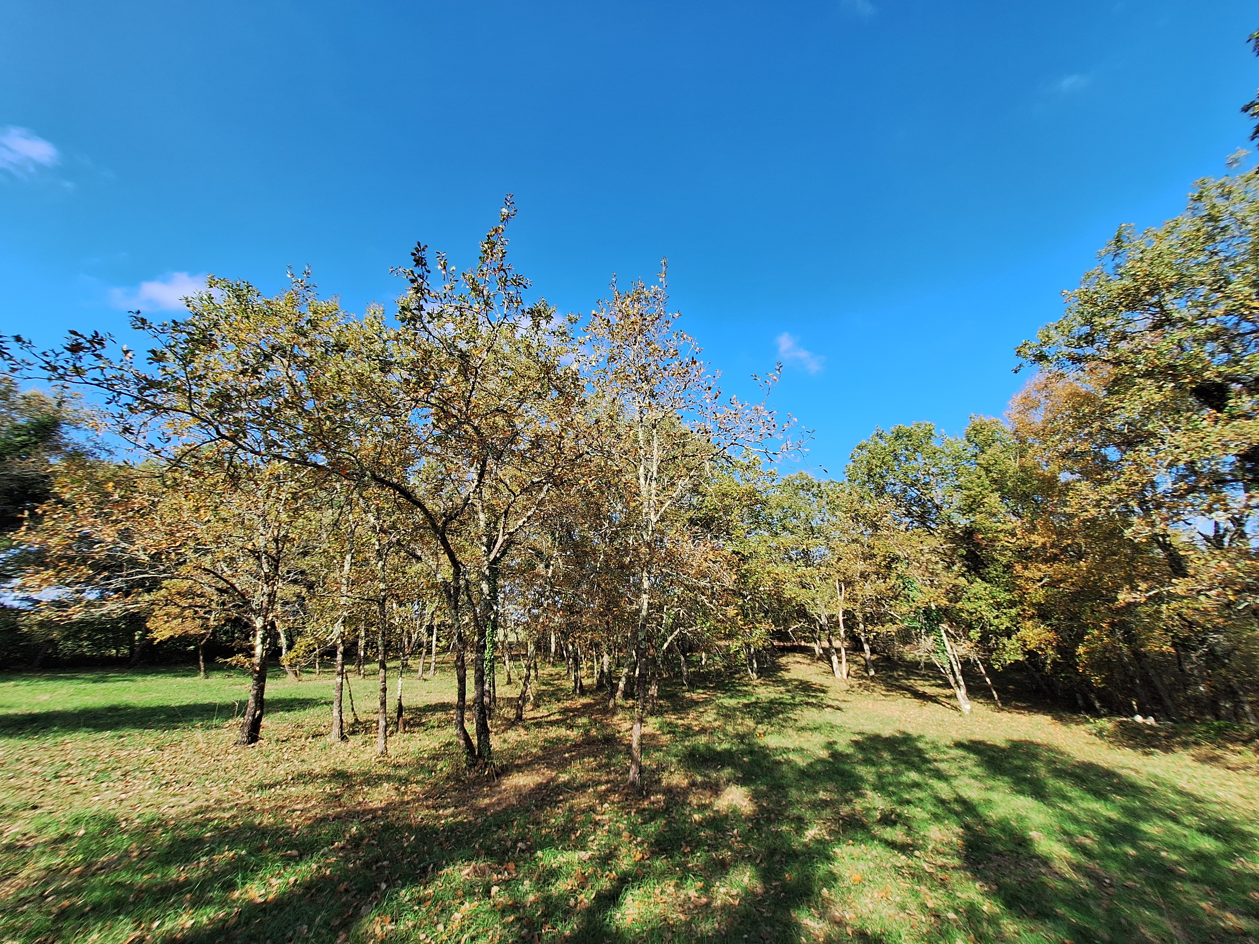 10 Bed, 8 Bath, HouseFor Sale, Montcuq, Lot, Midi-Pyrenees, 46800
