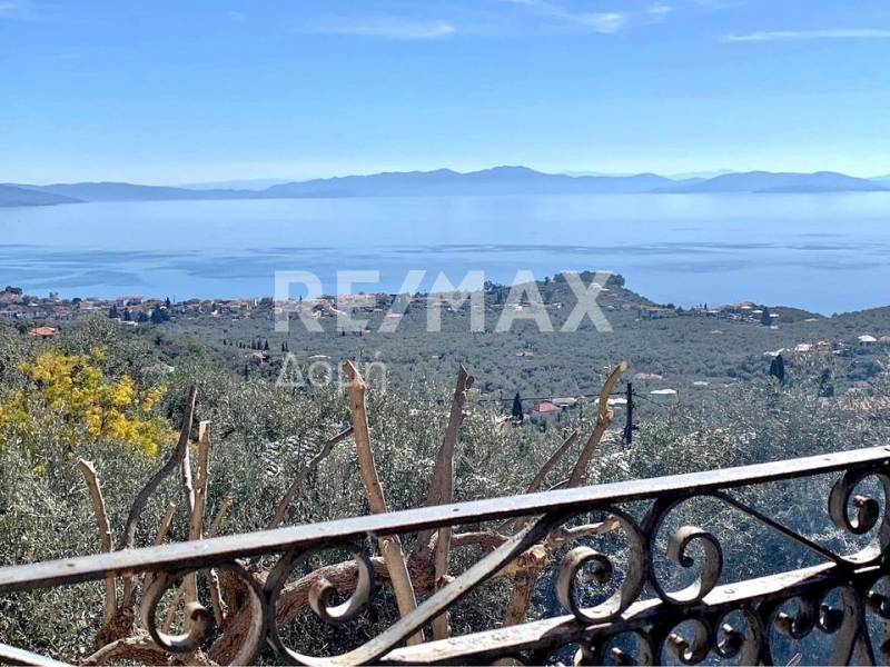 3 Bed, 1 Bath, HouseFor Sale, Ano Gatzea, Milies, Magnesia